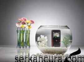 w200 00261 269x200 Suya ve darbeye dayanıklı yapısı ile yeni  Samsung W200    Resim